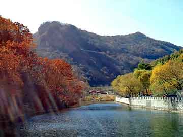 新澳天天开奖资料大全旅游团，站群蜘蛛池